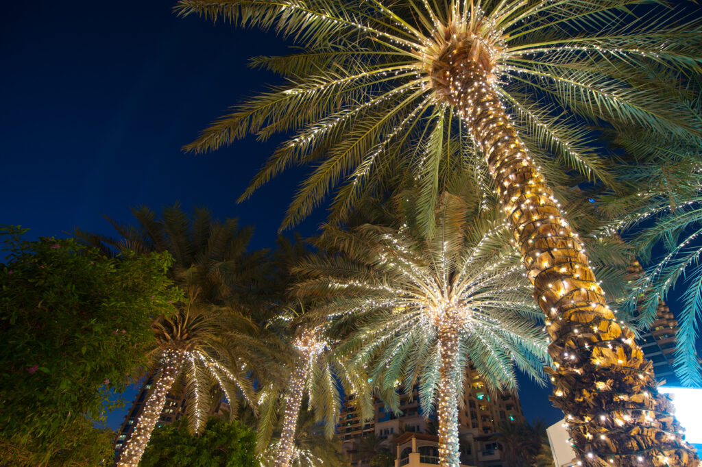 christmas decoration background palm tree